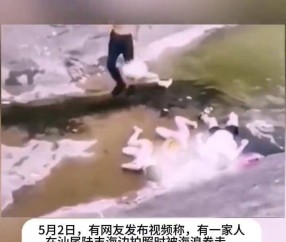 九游体育入口-ADA骗局案件真相浮出水面，已有超4.83人被骗！