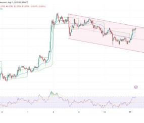 九游体育下载-XRP冲破155美元门槛，上涨周期是否已经开启？的简单介绍