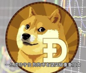 九游体育-狗狗币突遭安全漏洞，流失高达20.87万美元