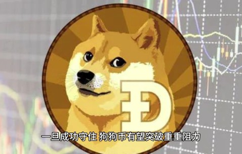 九游体育-狗狗币突遭安全漏洞，流失高达20.87万美元