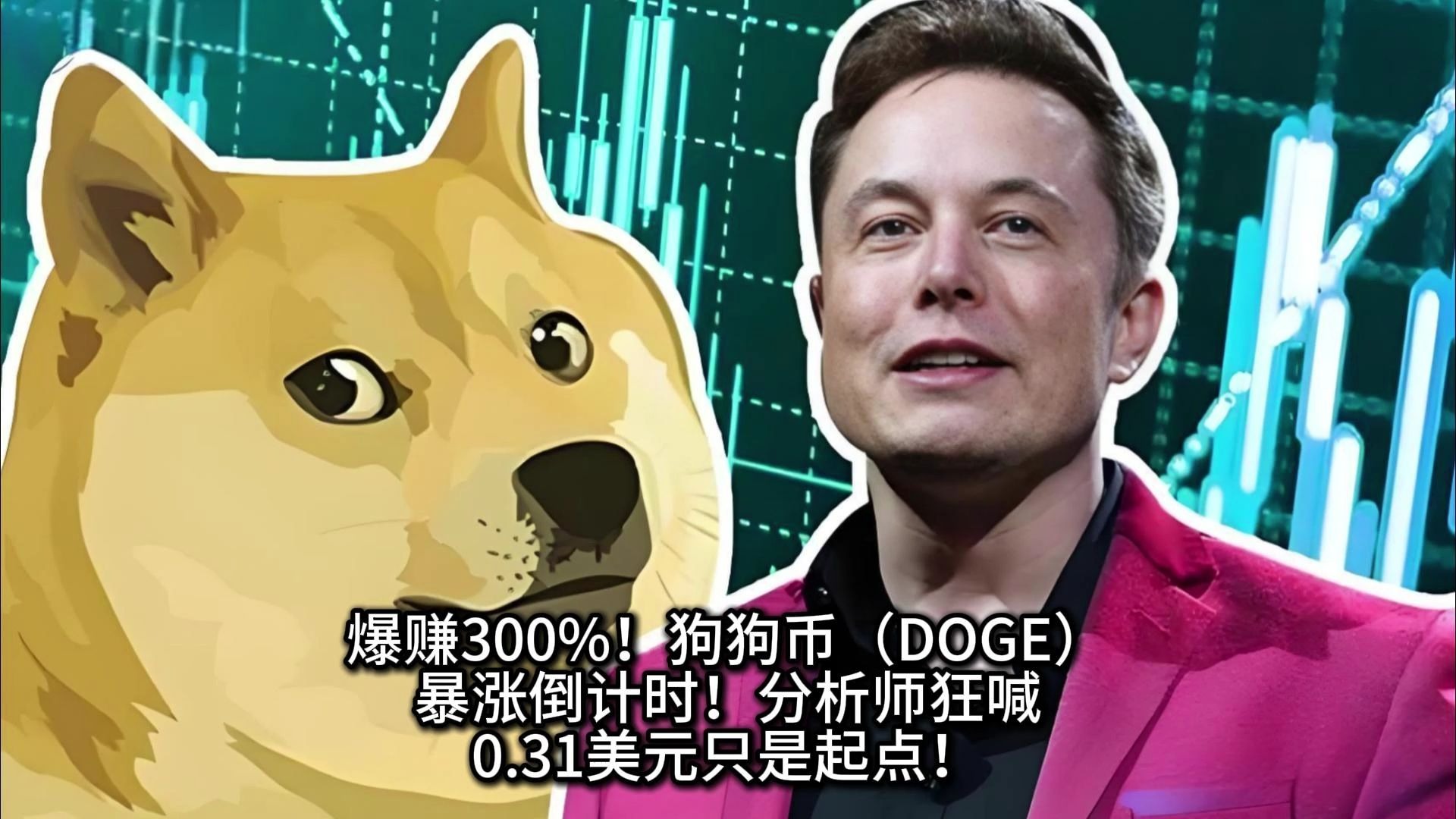 专家称狗狗币将在年底冲破199美元，引发引发关注
